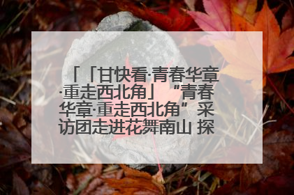 「甘快看·青春华章·重走西北角」“青春华章·重走西北角”采访团走进花舞南山 探寻天水乡村振兴之路