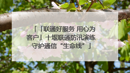 「联通好服务 用心为客户」十堰联通防汛演练守护通信“生命线”