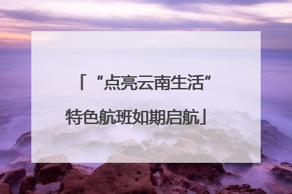 “点亮云南生活”特色航班如期启航