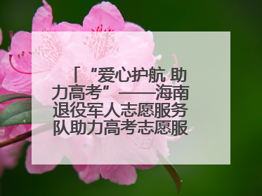 “爱心护航 助力高考”——海南退役军人志愿服务队助力高考志愿服务活动