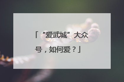 “爱武城”大众号，如何爱？