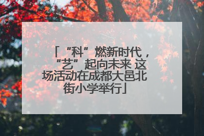 “科”燃新时代，“艺”起向未来 这场活动在成都大邑北街小学举行