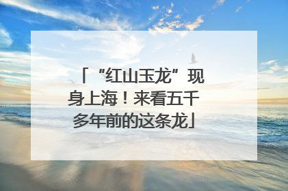 “红山玉龙”现身上海！来看五千多年前的这条龙