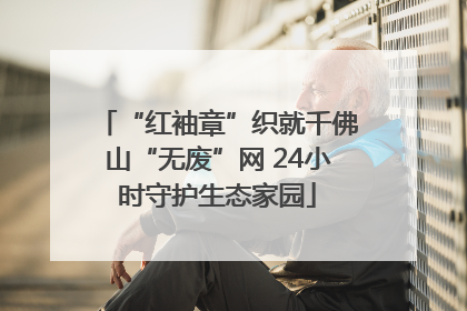 “红袖章”织就千佛山“无废”网 24小时守护生态家园