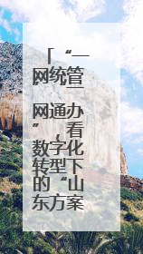 “一网统管”“一网通办”，看数字化转型下的“山东方案”