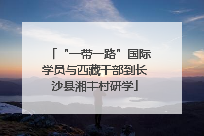 “一带一路”国际学员与西藏干部到长沙县湘丰村研学