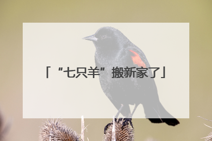 “七只羊”搬新家了