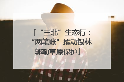 “三北”生态行：“两笔账”撬动锡林郭勒草原保护
