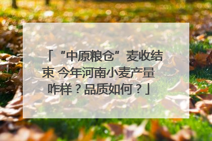“中原粮仓”麦收结束 今年河南小麦产量咋样？品质如何？