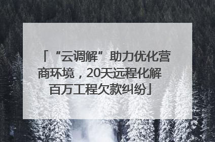 “云调解”助力优化营商环境，20天远程化解百万工程欠款纠纷