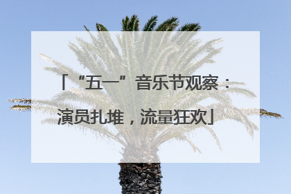 “五一”音乐节观察：演员扎堆，流量狂欢