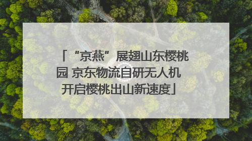 “京燕”展翅山东樱桃园 京东物流自研无人机开启樱桃出山新速度