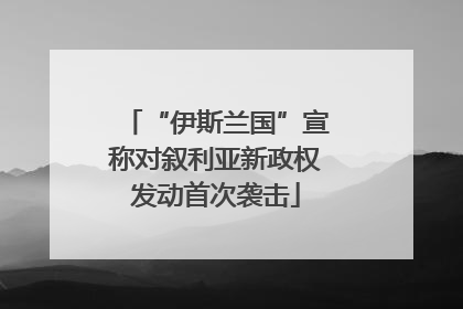 “伊斯兰国”宣称对叙利亚新政权发动首次袭击