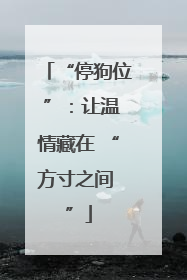 “停狗位 ”：让温情藏在 “方寸之间 ”