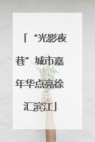 “光影夜巷”城市嘉年华点亮徐汇滨江