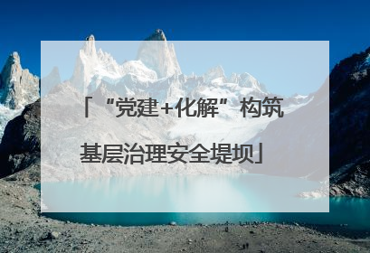 “党建+化解”构筑基层治理安全堤坝