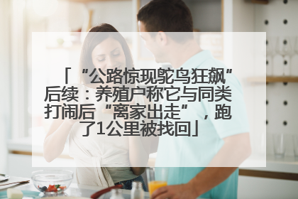 “公路惊现鸵鸟狂飙”后续：养殖户称它与同类打闹后“离家出走”，跑了1公里被找回