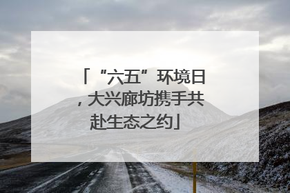 “六五”环境日，大兴廊坊携手共赴生态之约