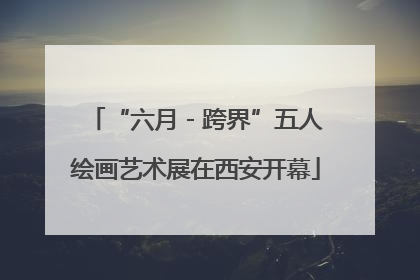 “六月 - 跨界”五人绘画艺术展在西安开幕