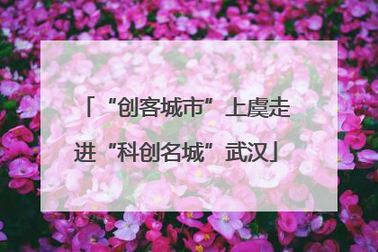 “创客城市”上虞走进“科创名城”武汉