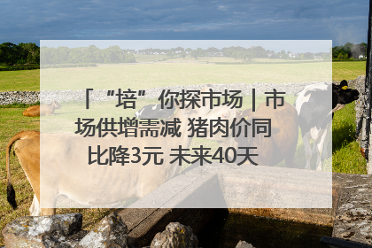 “培”你探市场｜市场供增需减 猪肉价同比降3元 未来40天便宜猪肉敞开吃