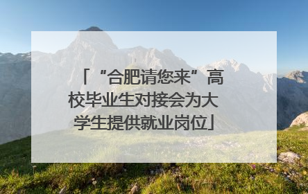 “合肥请您来”高校毕业生对接会为大学生提供就业岗位