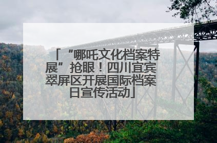 “哪吒文化档案特展”抢眼！四川宜宾翠屏区开展国际档案日宣传活动