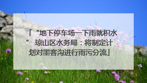 “地下停车场一下雨就积水” 琼山区水务局：将制定计划对墨客沟进行雨污分流
