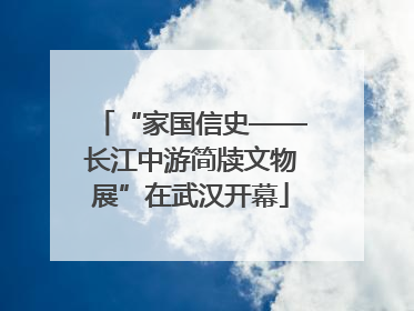 “家国信史——长江中游简牍文物展”在武汉开幕
