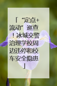 “定点+流动”巡查！冰城交警治理学校周边违停和校车安全隐患