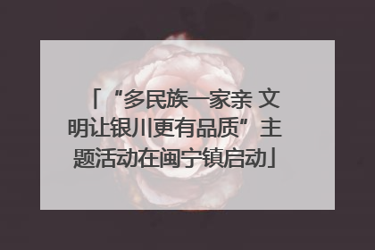 “多民族一家亲 文明让银川更有品质”主题活动在闽宁镇启动