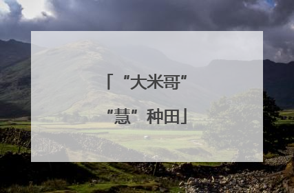 “大米哥”“慧”种田