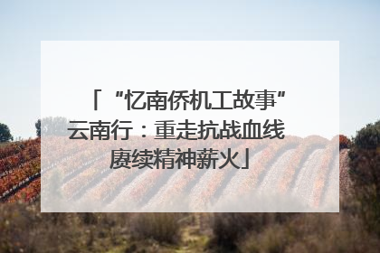 “忆南侨机工故事”云南行：重走抗战血线 赓续精神薪火