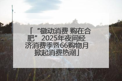 “徽动消费 购在合肥”2025年夜间经济消费季暨66购物月掀起消费热潮