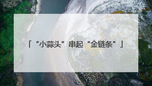 “小蒜头”串起“金链条”