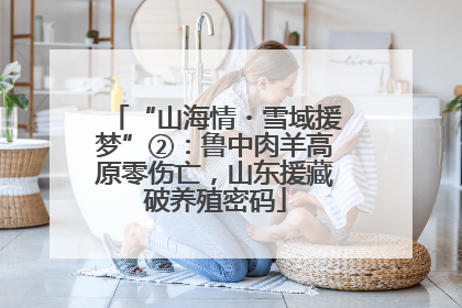“山海情・雪域援梦”②：鲁中肉羊高原零伤亡，山东援藏破养殖密码