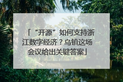 “开源”如何支持浙江数字经济？乌镇这场会议给出关键答案