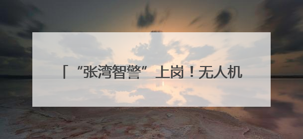 “张湾智警”上岗！无人机变身 “空中 110”