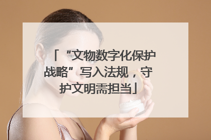 “文物数字化保护战略”写入法规，守护文明需担当