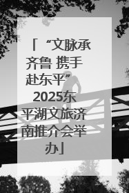 “文脉承齐鲁 携手赴东平” 2025东平湖文旅济南推介会举办