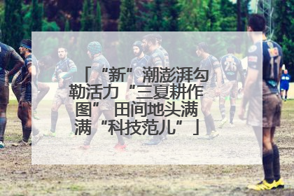 “新”潮澎湃勾勒活力“三夏耕作图” 田间地头满满“科技范儿”