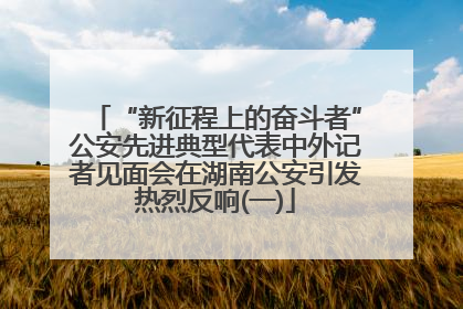 “新征程上的奋斗者”公安先进典型代表中外记者见面会在湖南公安引发热烈反响(一)