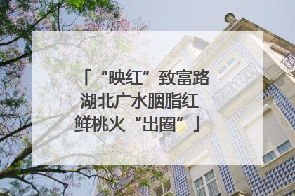 “映红”致富路 湖北广水胭脂红鲜桃火“出圈”