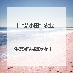“楚小田”农业生态链品牌发布