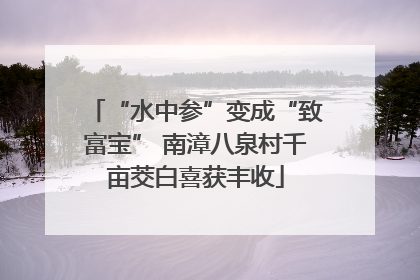 “水中参”变成“致富宝” 南漳八泉村千亩茭白喜获丰收