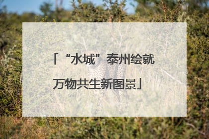 “水城”泰州绘就万物共生新图景