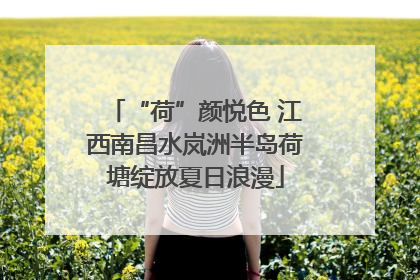 “荷”颜悦色 江西南昌水岚洲半岛荷塘绽放夏日浪漫