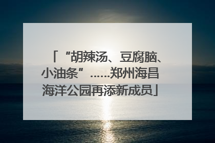 “胡辣汤、豆腐脑、小油条”……郑州海昌海洋公园再添新成员