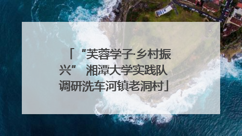 “芙蓉学子·乡村振兴” 湘潭大学实践队调研洗车河镇老洞村