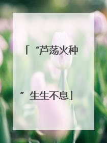 “芦荡火种”生生不息